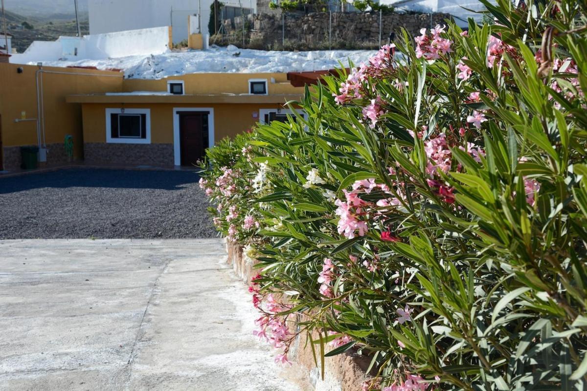 Casa Cueva Los Mansos Santa-Cruz de Ténérife Extérieur photo